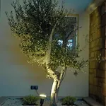 皮尔莫斯酒店 Paphos